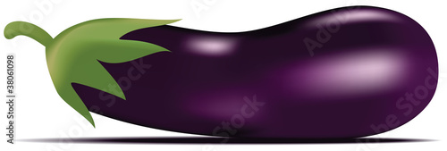 eggplant in vector