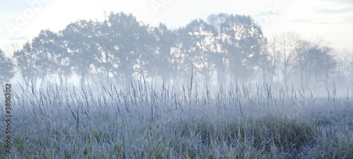 mist and frost on a field © liquid studios