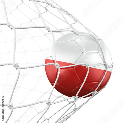 Poland soccerball in net