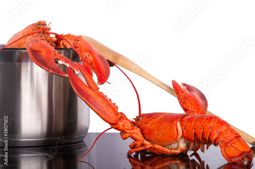 Lobsters escape