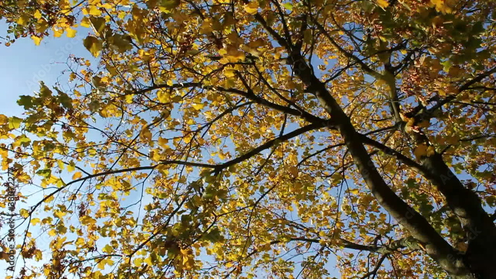 Herbstlich Herbstlich