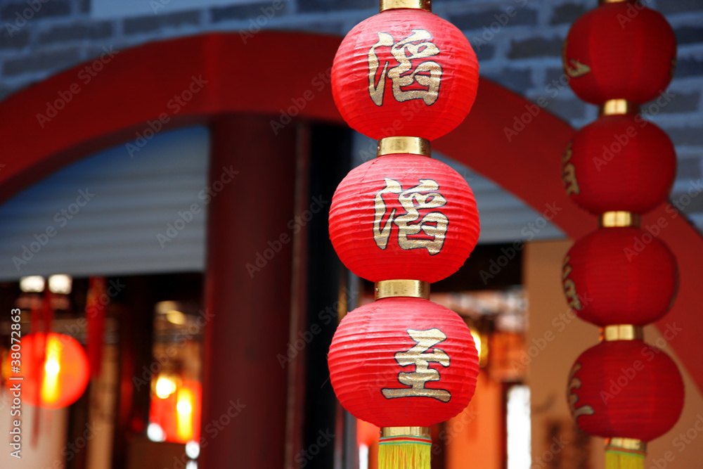 Chinese new year decoration is a Traditional lantern and plum bl