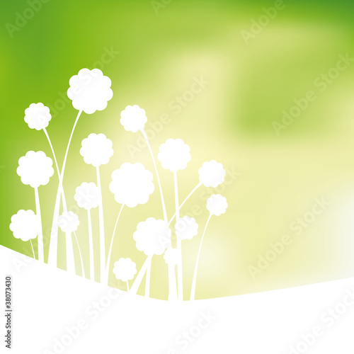 Ecology background