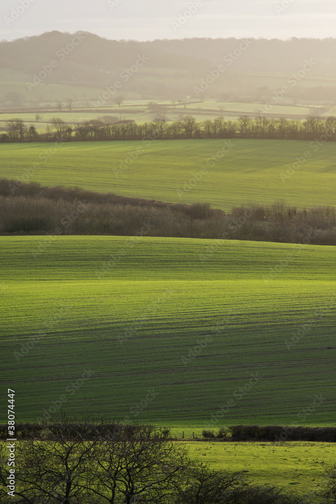 Obraz premium warwickshire countryside