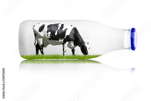 Kuhmilch