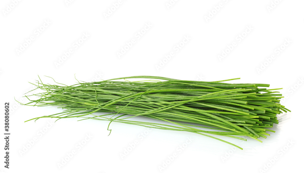 beautiful green onion chives isolated on white - obrazy, fototapety, plakaty 