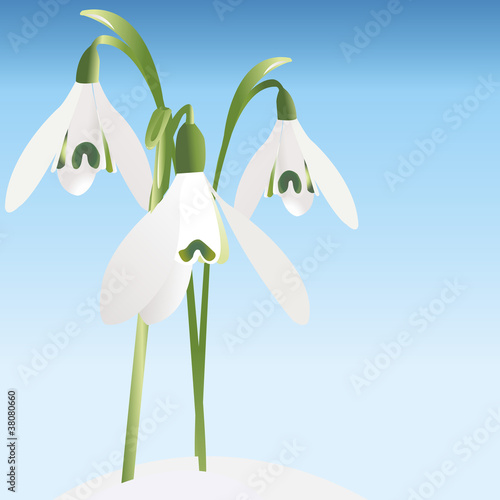 Spring background with snowdrop