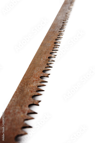 Sägeblatt