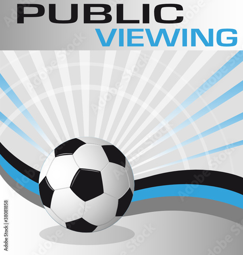Fussball - Soccer - 16