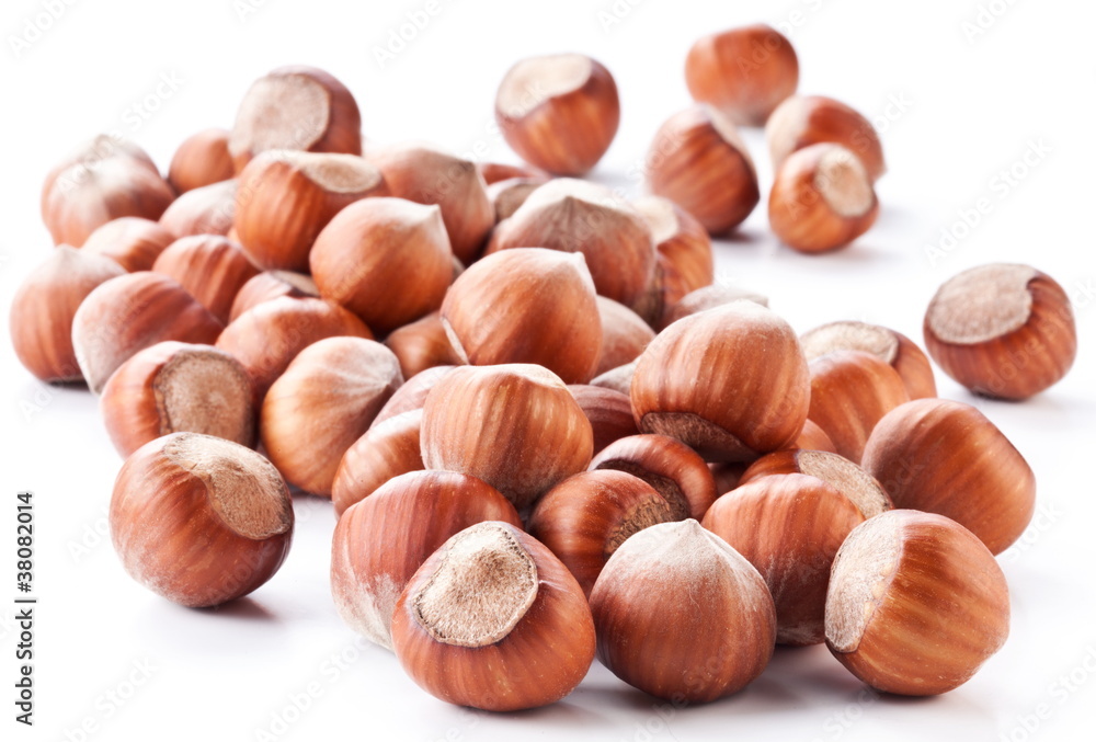Nuts filberts isolated Nuts filberts isolated