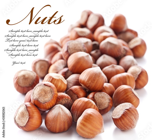 Nuts filberts isolated photo