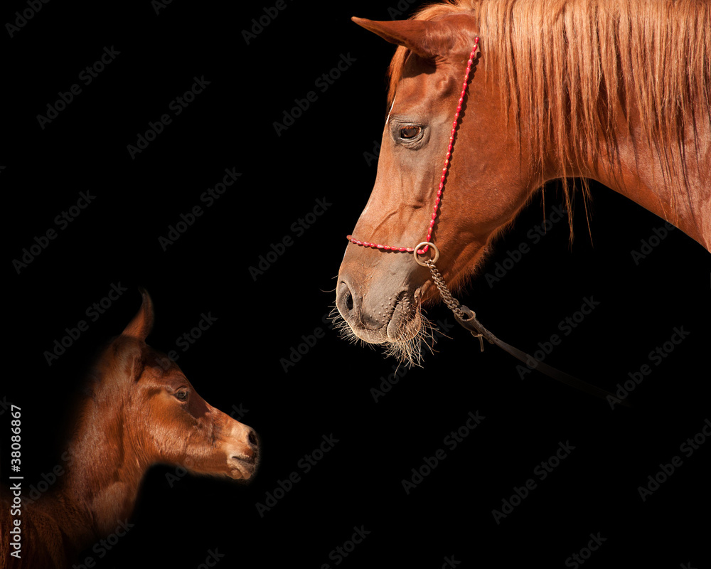 Eye to eye