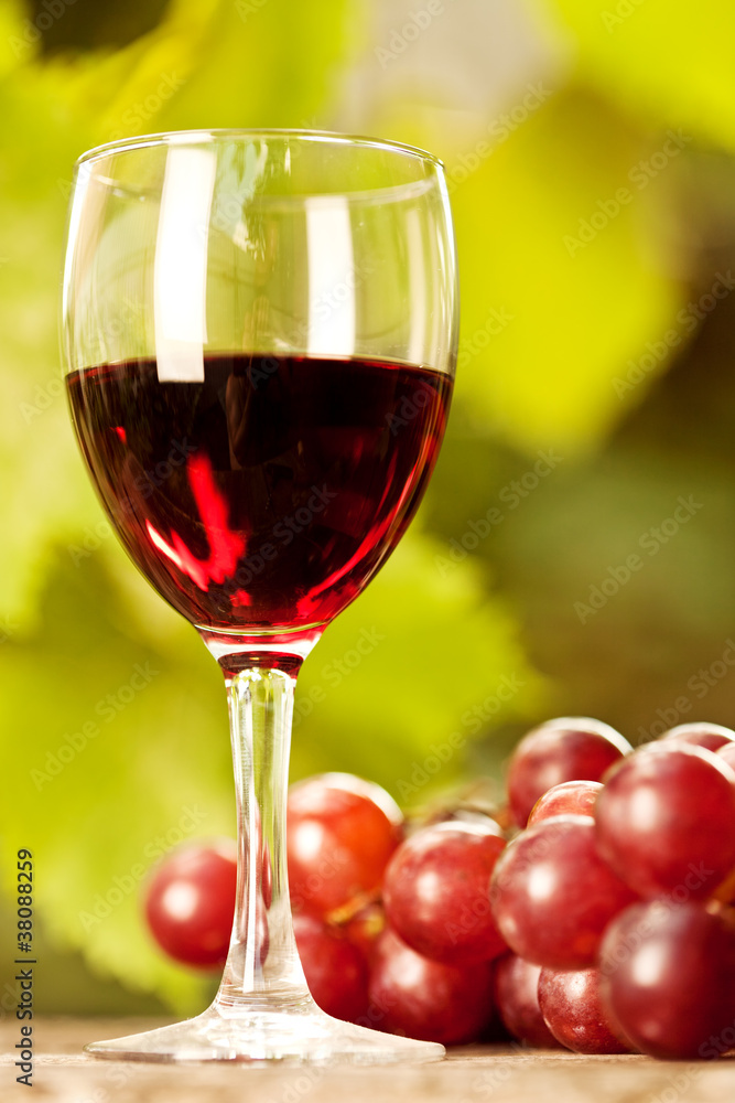 Wine glass and bunch of grapes Wine glass and bunch of grapes