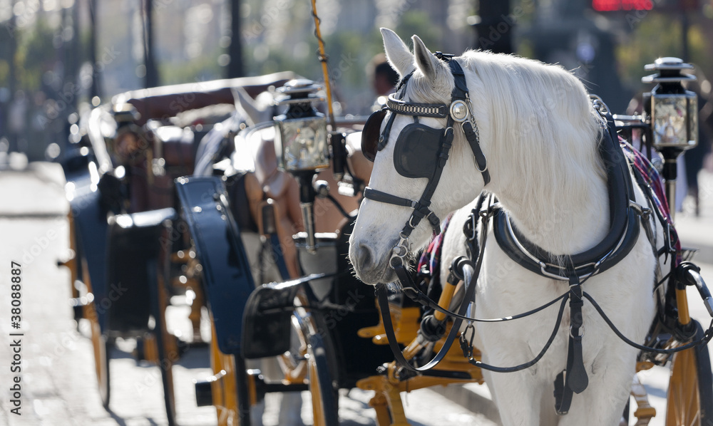 Obraz premium carriage spanish