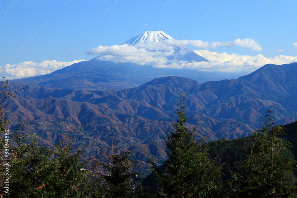 富士山　櫛形林道にて