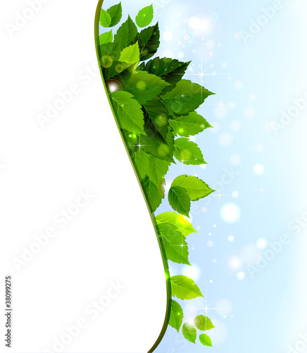 design of fresh green leaves