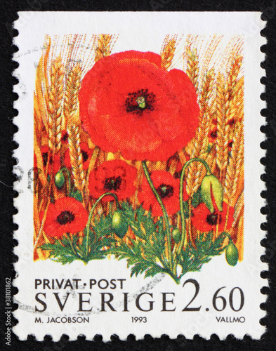 Postage stamp Sweden 1993 Poppy Flowers