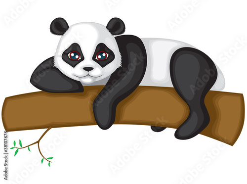 panda