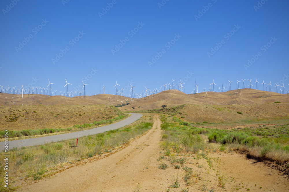 Ridgeline of Wind Farm