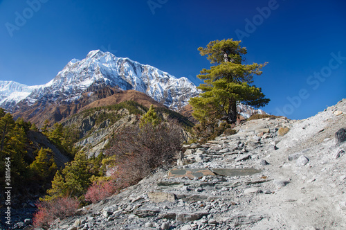 View on  the Annapurna mountain Nepal