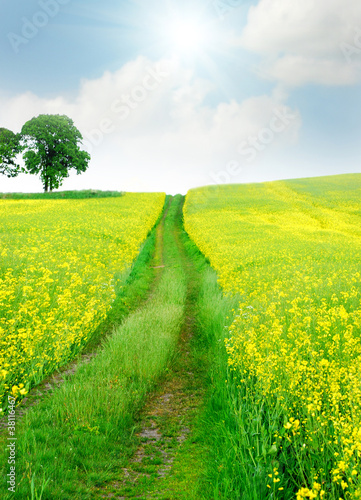 Spring