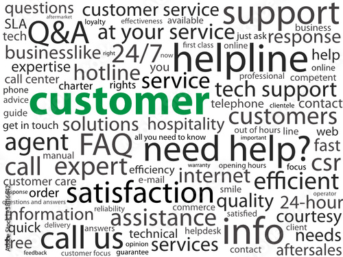 CUSTOMER" Tag Cloud (satisfaction service client help consumer)