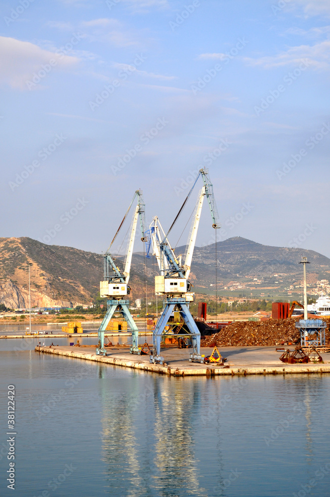 Fototapeta premium Gru