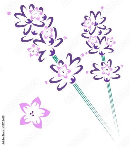 Fototapeta Naklejka Na Ścianę i Meble -  Lavender stem & flowers