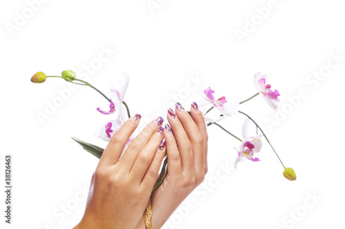 beauty Konzept - manikürte Hände halten Blumen