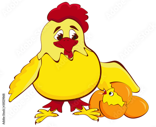 chicken mother with baby egg