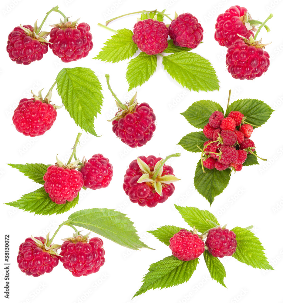 collection of ripe raspberries collection of ripe raspberries