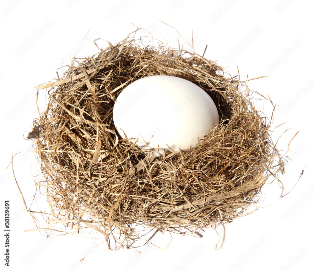 Birds nest with eggs on the white background. (isolated) Birds nest with eggs on the white background. (isolated)