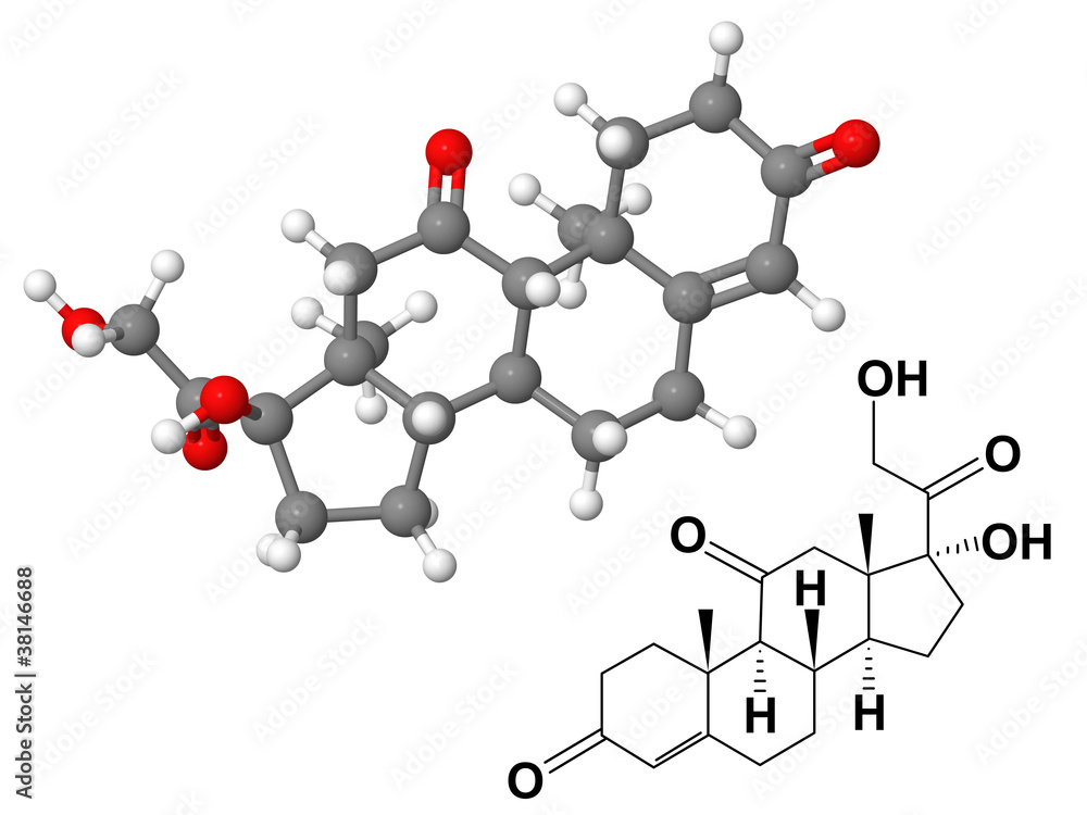 Cortisone molecule with chemical formula Cortisone molecule with chemical formula