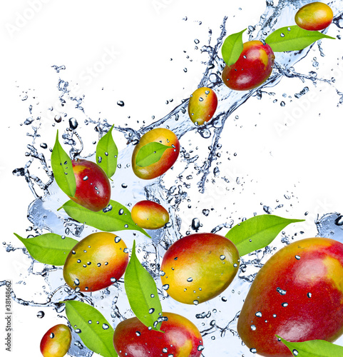 Fresh mangos flying in water splash,isolated on white background