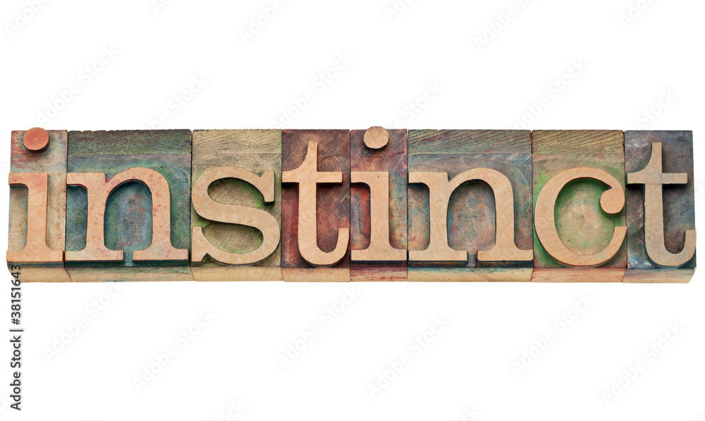 instinct word in letterpress type - obrazy, fototapety, plakaty 