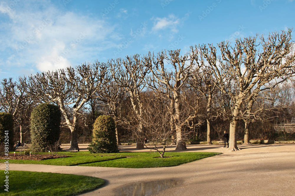allées du jardin des plantes à Paris