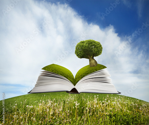 Open book with tree on grass