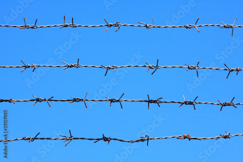 barbed wire on blue sky