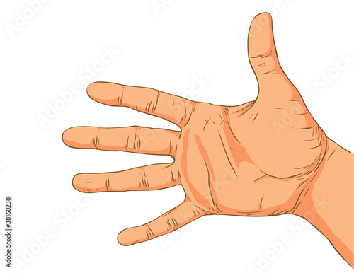 Hand isolated on a white background.