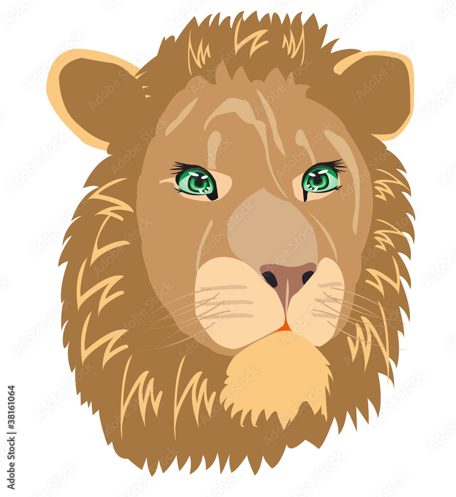 Vector illustration animal lion Vector illustration animal lion