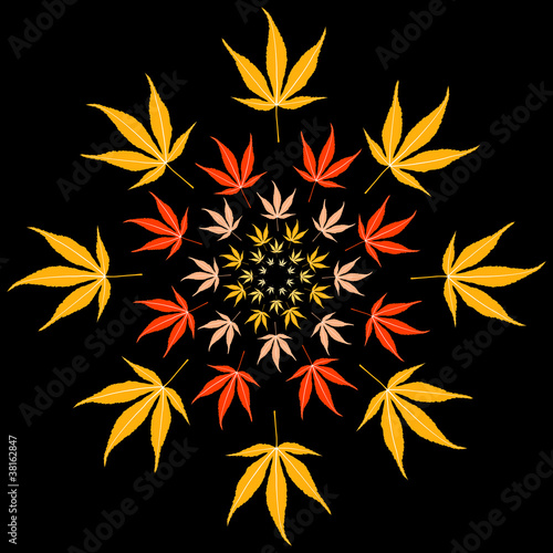 Autumn or fall maple leaves background.