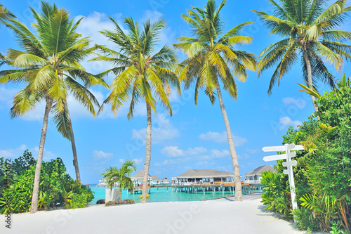 Maldives island and white beach