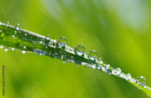 water drops