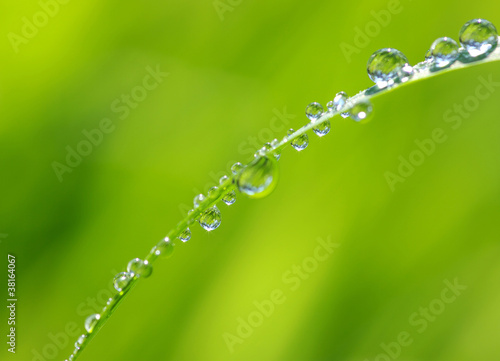 water drops