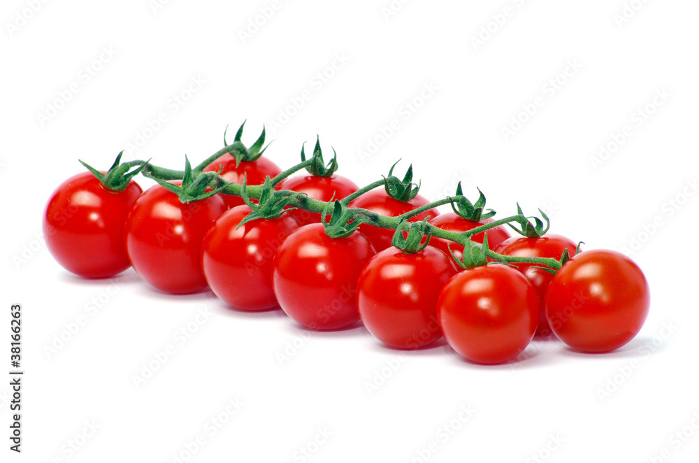 tomatoes tomatoes
