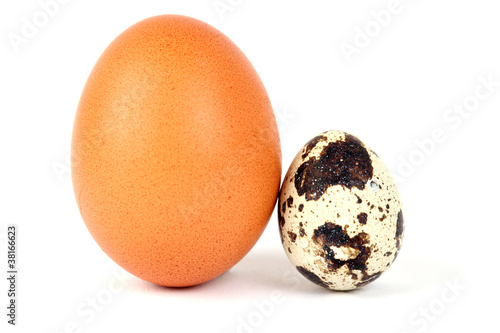 Zwei Eier photo
