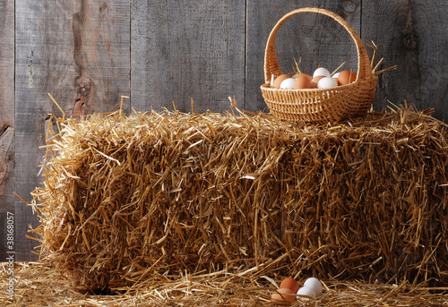 Quadro em tela Basket of eggs on hay bale