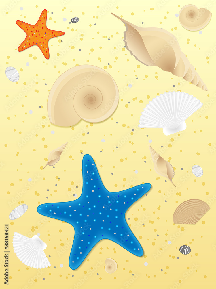 Shells and starfishes on sand background. Vector illustration.