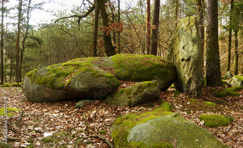 Boulders on forest