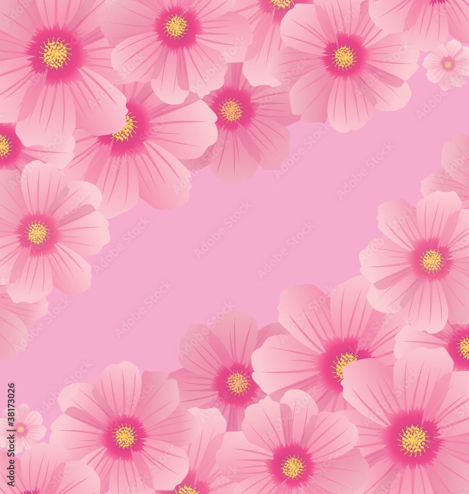 Fototapeta premium pink cosmos flowers borders and corners vector